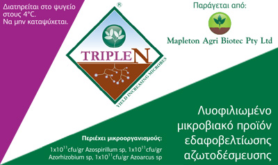 tripleN label